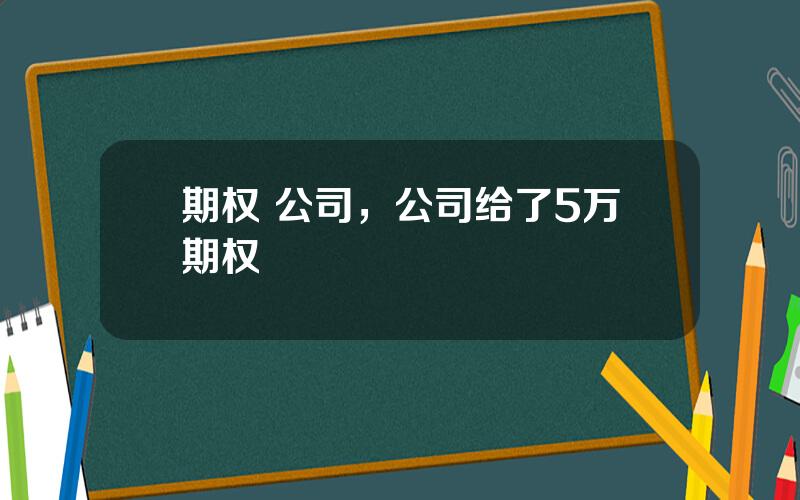 期权 公司，公司给了5万期权